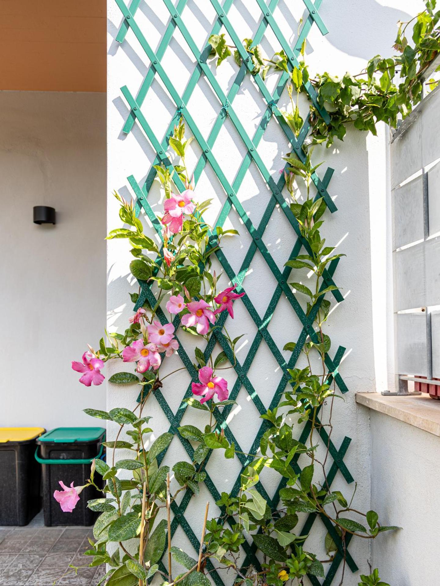 Mrb Real Estate - Maison Ludovica - Monolocale Moderno Con Giardino Фраттокке Экстерьер фото